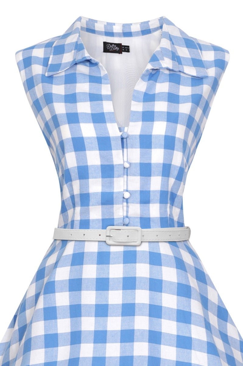 Poppy Gingham 1950s Shirt Dress in Blue/White