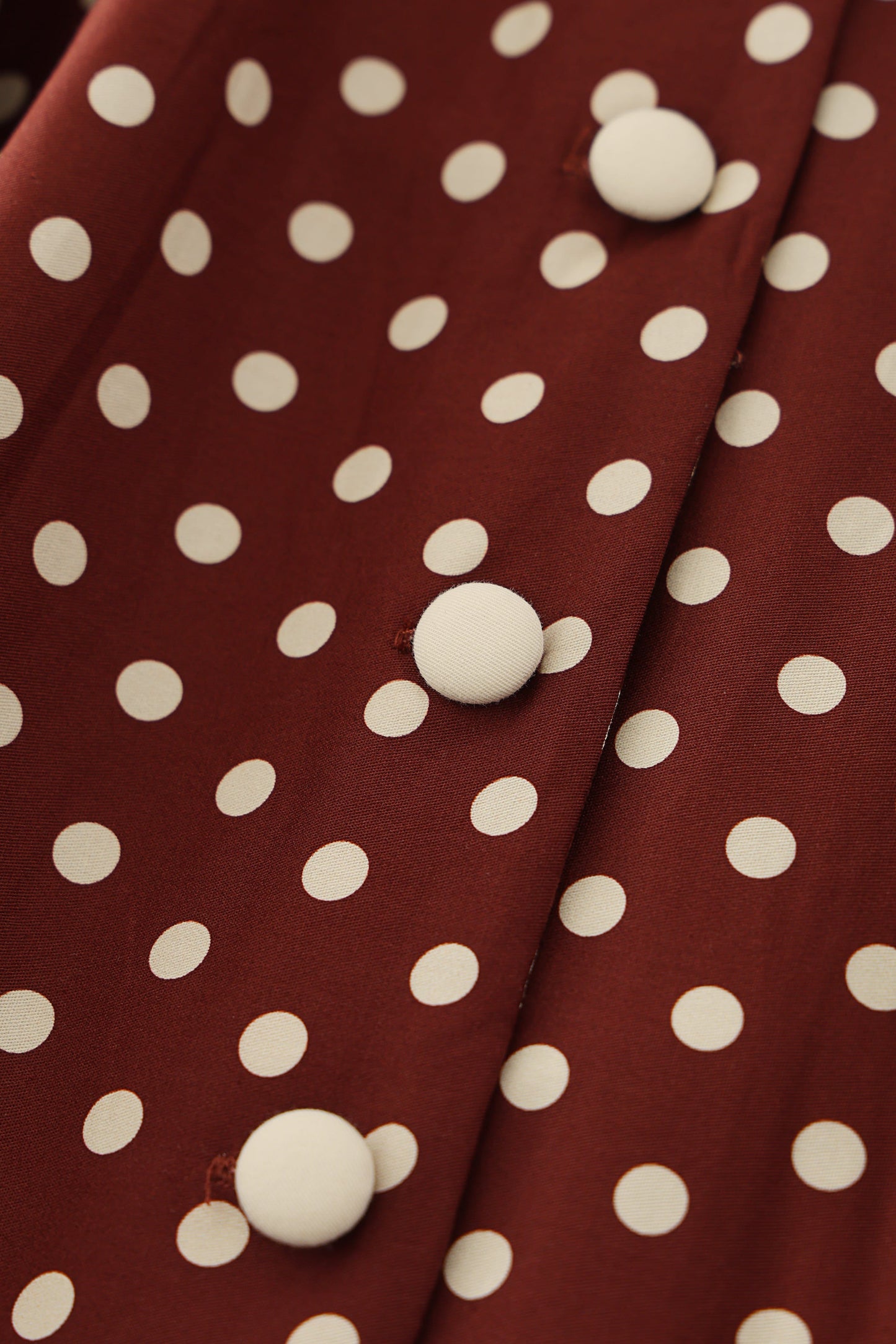 Mollie Brown Polka Dot Full Circle Shirt Dress