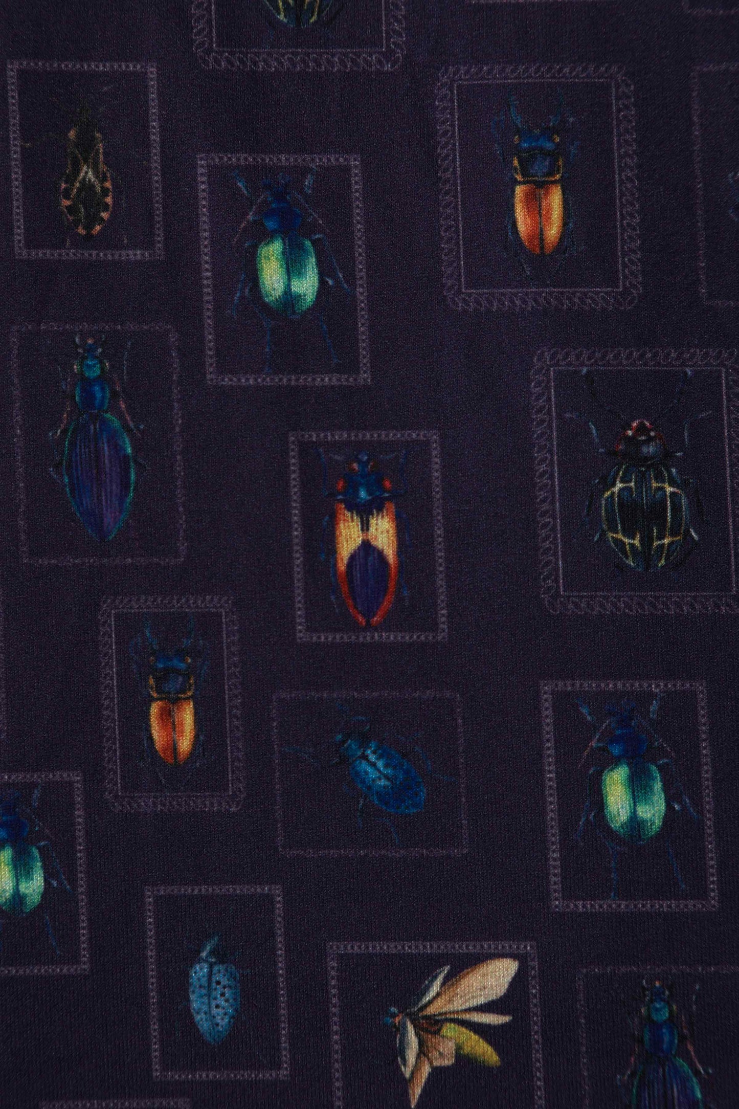 Matilda Bug Collection Wrap Dress