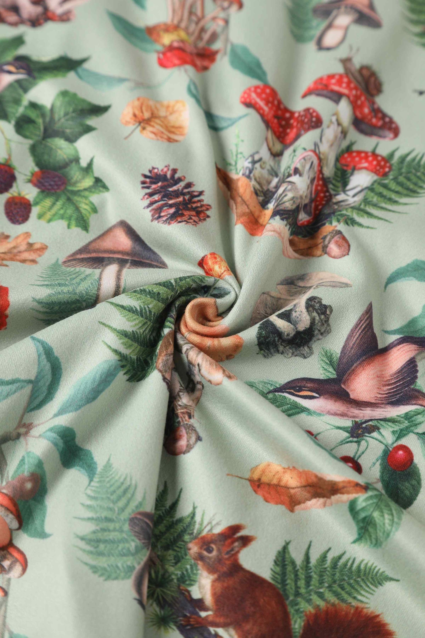 Claudia Cap Sleeved Dress in Mushroom, Squirrels Forest Print