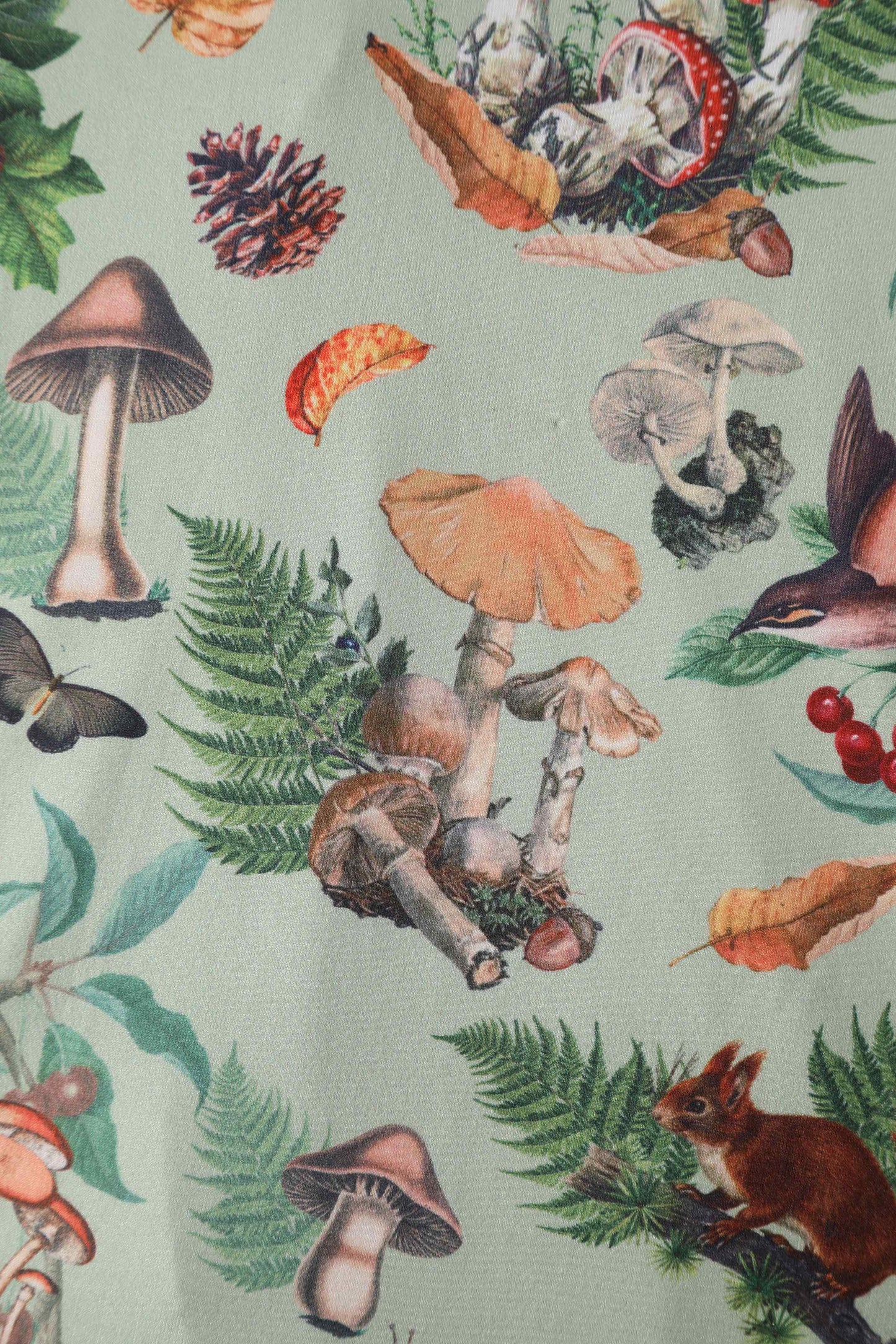 Claudia Cap Sleeved Dress in Mushroom, Squirrels Forest Print