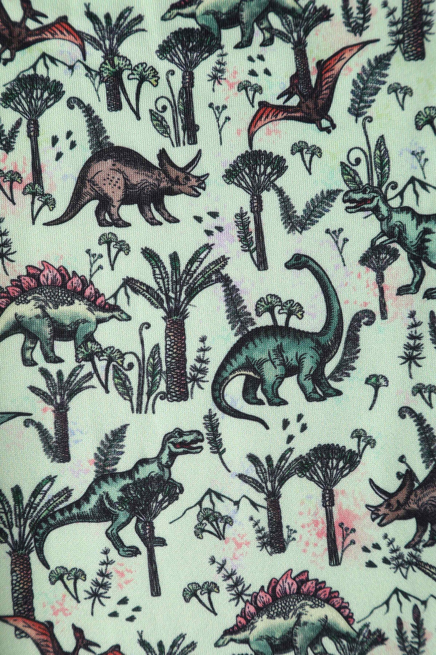 Amanda Dinosaur Green Flared Dress