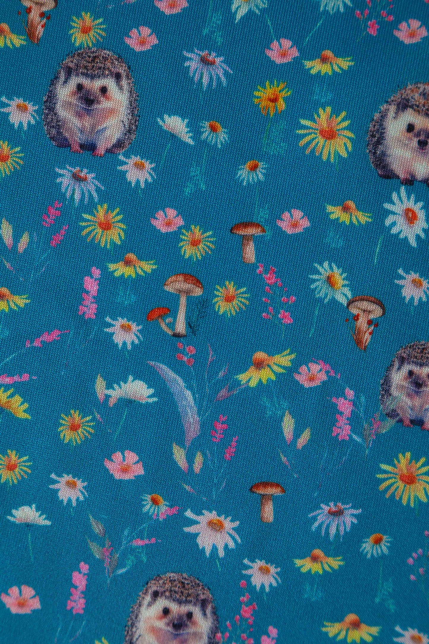 Lily Hedgehogs Blue Off Shoulder Dress