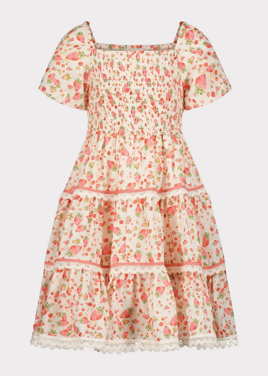 Strawberry Shortcake Girls Dress