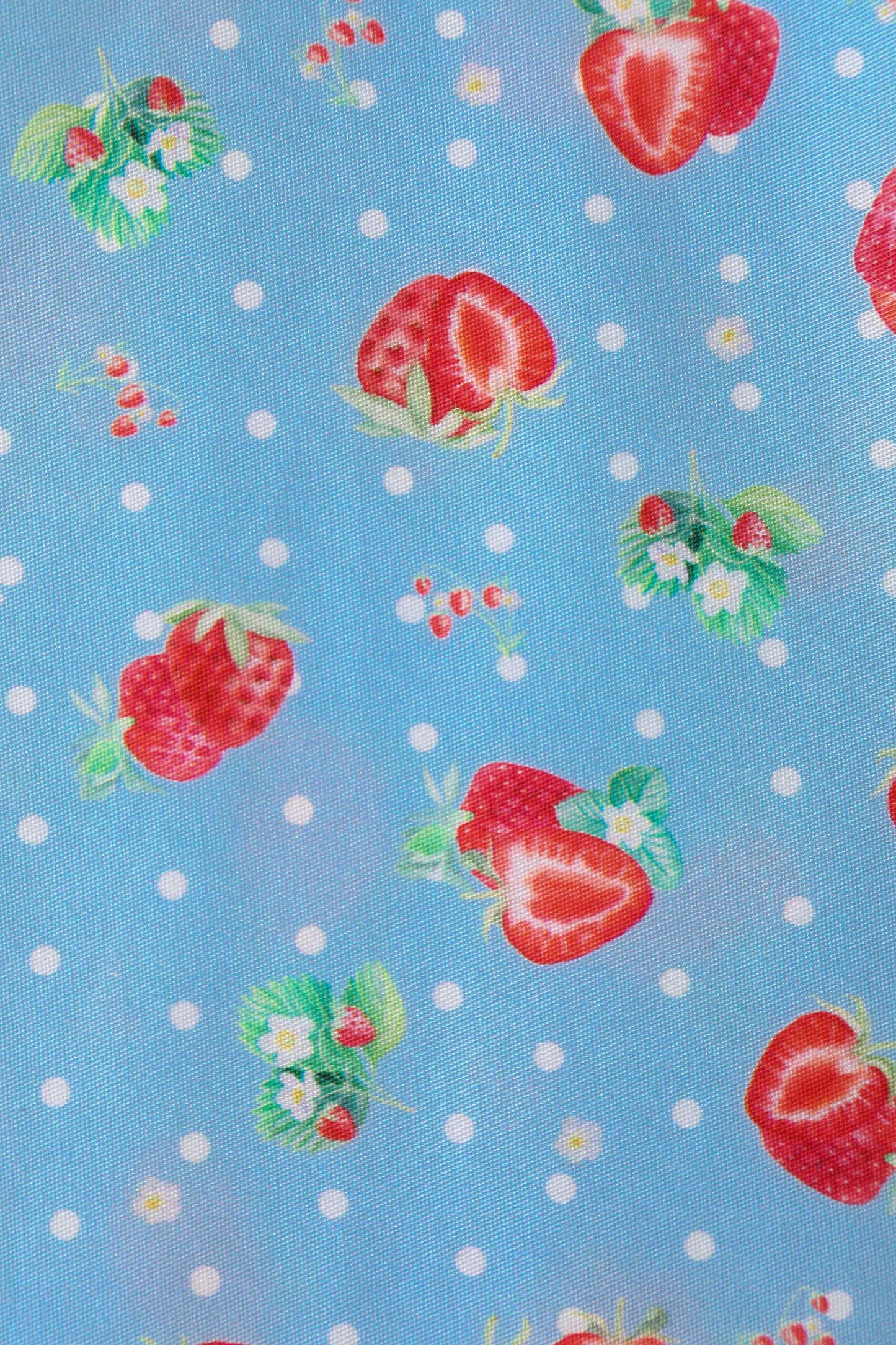 Grace Blue Strawberry Pleated Bust Dress